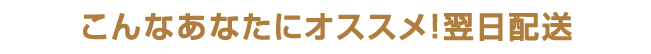 こんなあなたにオススメ!翌日配送